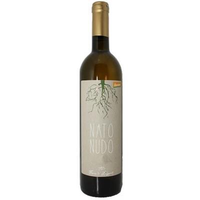 BENEVENTO FIANO IGP NATO NUDO 2022 TERRA DI BRIGANTI