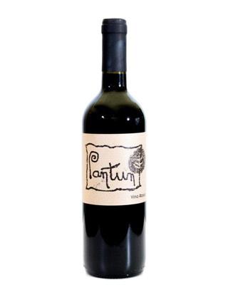 PANTUN VINO ROSSO PRIMITIVO DI PUGLIA IGT 2021 PANTUN