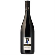 OLTREPO PAVESE DOC PINOT NERO 2023 PIOTA PIOTTA