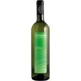 VERDICCHIO DI MATELICA DOC TERRAVIGNATA BIANCO 2021