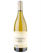 TURBIANA VERONA IGT TREBBIANO FILIPPI