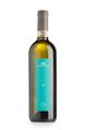 OFFIDA PECORINO DOCG 2024 LA VALLE DEL SOLE