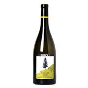 ALTO ADIGE SAUVIGNON DOC VOGLAR 2019 PETER DIPOLI