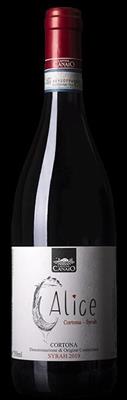 CORTONA SYRAH DOC IL CALICE 2022 CANTINA CANAIO