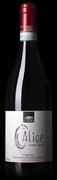 CORTONA SYRAH DOC IL CALICE 2022 CANTINA CANAIO