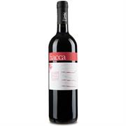MARCHE ROSSO IGT FIACCA 2020 TERRARGILLOSA