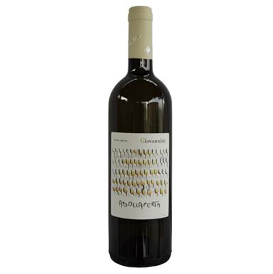 RUBICONE TREBBIANO FRIZZANTE IGT 2023 ABOCCAPERTA GIVANNINI