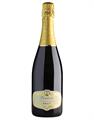 FRANCIACORTA BRUT 2021 DOCG CASTELVEDER