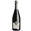 FRANCIACORTA DOCG SATEN 2021 CASTELVEDER