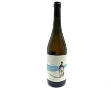 VINO BIANCO CHIERINA 2022 VIGNE CAVE