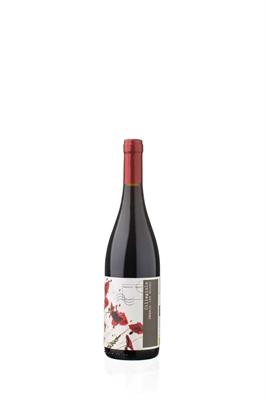 CILIEGIOLO IGT UMBRIA TERRE DI GIANO 2023 MORETTI OMERO
