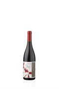 CILIEGIOLO IGT UMBRIA TERRE DI GIANO 2023 MORETTI OMERO