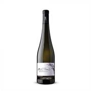 TRENTINO DOC GEWURZTRAMINER 2023 ZANOTELLI