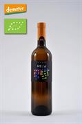 BRDA POANTA 2007 REJA