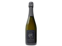 FRANCIACORTA PAS DOSE DOCG AMMONITES CAMILUCCI