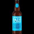 BIRRA PALE ALE DA CL. 50 THEAKSTON