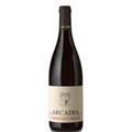 UMBRIA IGT CABERNET FRANC 2023 ARCADIA