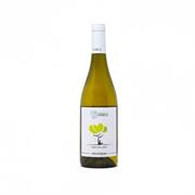 MOLISE SAUVIGNON DOC 2020 LAME DEL SORBO
