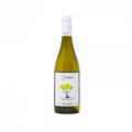 MOLISE SAUVIGNON DOC 2020 LAME DEL SORBO