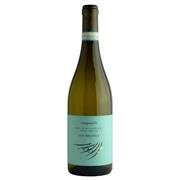 VERDICCHIO CASTELLI DI JESI DOC 2023 SAN MICHELE CAMPANELLI