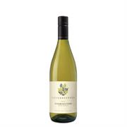 ALTO ADIGE PINOT BIANCO DOC MERUS 2023 TIEFENBRUNNER