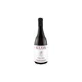 VALLE D AOSTA PINOT NERO DOC 2023 OTTIN