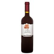 MARCHE ROSSO IGT 2023 DI GINO FATTORIA SAN LORENZO