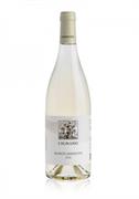 BIANCHELLO DEL METAURO DOC BIANCO ASSOLUTO 2023 CIGNANO