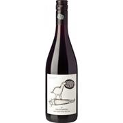 GALGENBERG PINOT NERO 2022 GRUBER ROSCHITZ