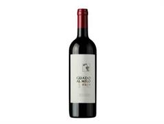BOLGHERI DOC RUTE 2022 GUADO AL MELO