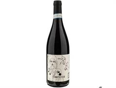 ABRUZZO MONTEPULCIANO D ABRUZZO COCCA DI CASA 2021 FONTEFICO