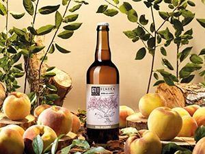 BIRRA PERSICA FRUIT BEER 0.33CL 61CENTO