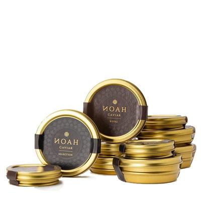 CAVIALE SIBERIANO NOAH 10GR