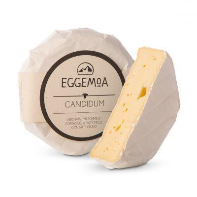 CACIOTTINA EGGEMOA CANDIDUM