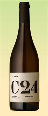 TERRE SICILIANE IGT CATARRATTO C24 2024 CRIANTE