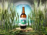 BIRRA PICUS 0.33L ITALIAN WEISS 61CENTO