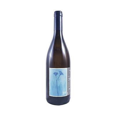 UMBRIA BIANCO IGT BIANCO 29 2021 FONTESEC