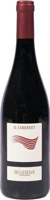 RUBICONE CABERNET IGT IL CABERNET MAGNUM DELLE SELVE