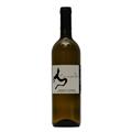 VERDICCHIO DI MATELICA DOC CAVALLO 2020 LE STROPPIGLIOSE