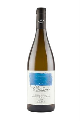 MARCHE BIANCO IGT 2023 LE CLOCHARD CALCINARA