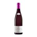 CERASUOLO D'ABRUZZO DOC 2023 LE CINCE DE FERMO