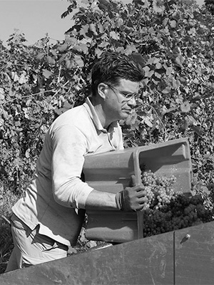 azienda-agricola-alessandro-winkler_back